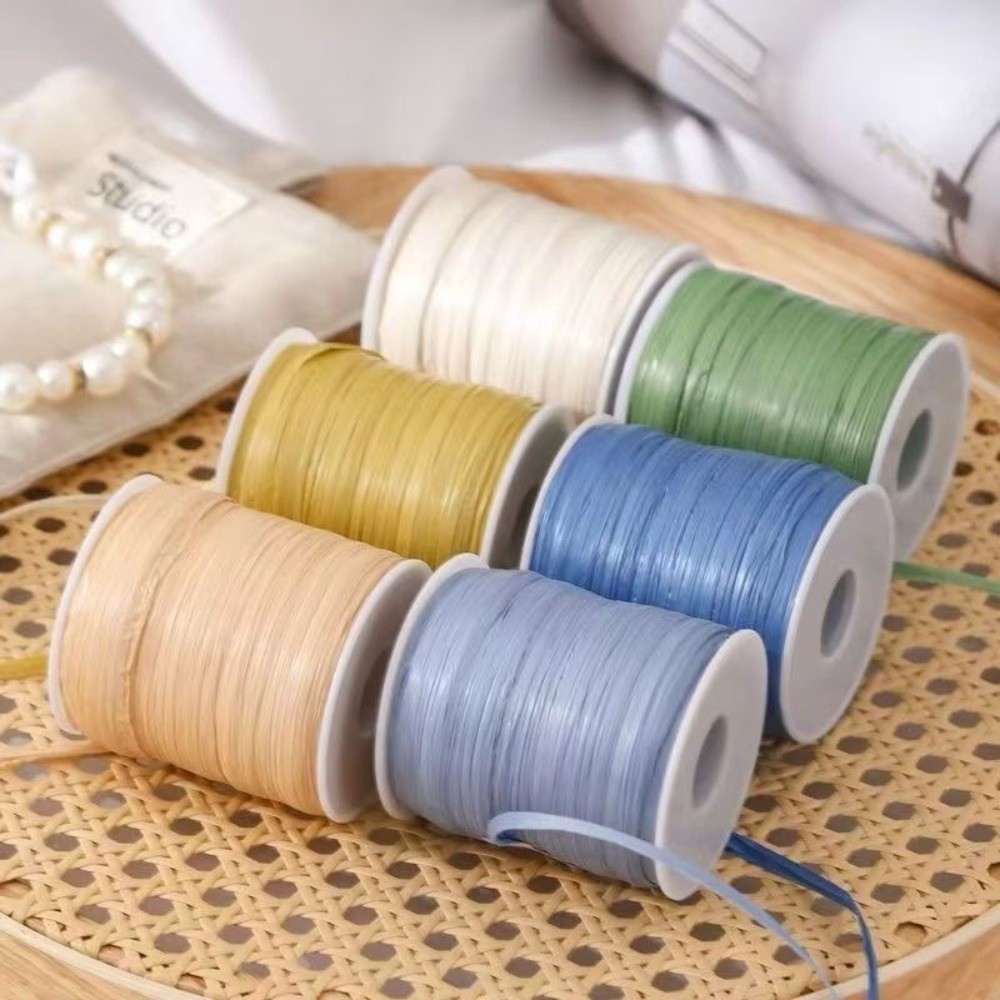 خيط رافيا عالي الجودة 120 متر  - مراجعة Crochet Bag Raffia وسعره